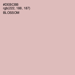 #DEBCBB - Blossom Color Image