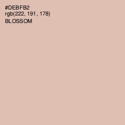 #DEBFB2 - Blossom Color Image