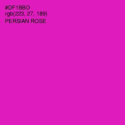 #DF1BBD - Persian Rose Color Image