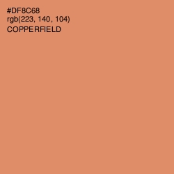 #DF8C68 - Copperfield Color Image