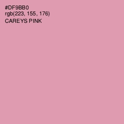 #DF9BB0 - Careys Pink Color Image