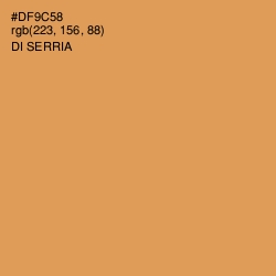 #DF9C58 - Di Serria Color Image
