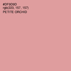 #DF9D9D - Petite Orchid Color Image