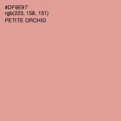 #DF9E97 - Petite Orchid Color Image