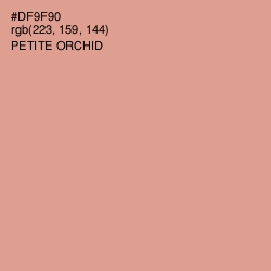 #DF9F90 - Petite Orchid Color Image