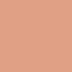 #DFA086 - Tumbleweed Color Image