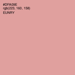 #DFA09E - Eunry Color Image