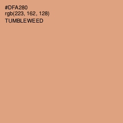 #DFA280 - Tumbleweed Color Image