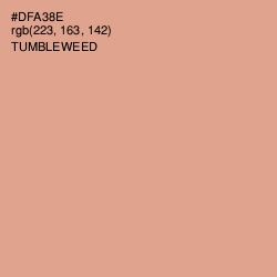 #DFA38E - Tumbleweed Color Image