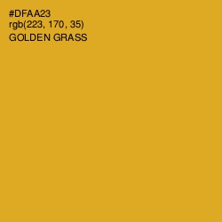 #DFAA23 - Golden Grass Color Image