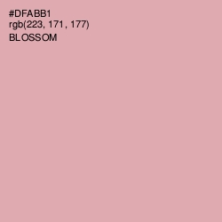 #DFABB1 - Blossom Color Image