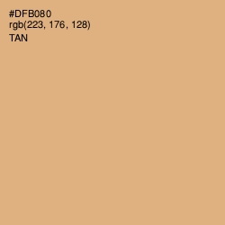 #DFB080 - Tan Color Image