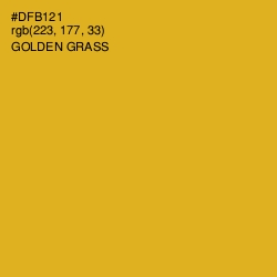 #DFB121 - Golden Grass Color Image