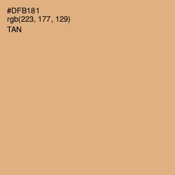 #DFB181 - Tan Color Image