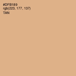 #DFB189 - Tan Color Image
