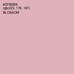 #DFB2BB - Blossom Color Image