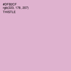 #DFB2CF - Thistle Color Image