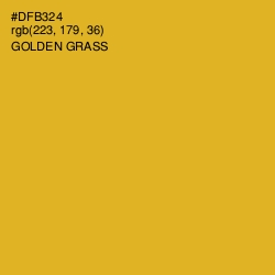 #DFB324 - Golden Grass Color Image