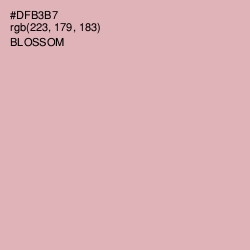 #DFB3B7 - Blossom Color Image