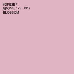 #DFB3BF - Blossom Color Image