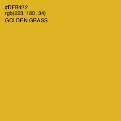 #DFB422 - Golden Grass Color Image