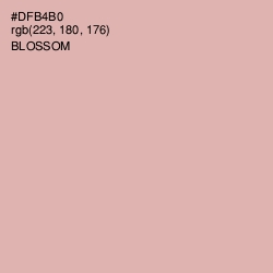 #DFB4B0 - Blossom Color Image