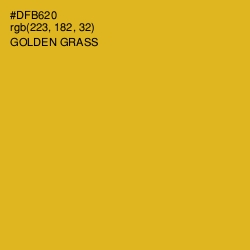#DFB620 - Golden Grass Color Image