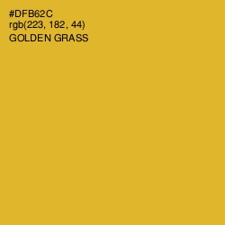 #DFB62C - Golden Grass Color Image