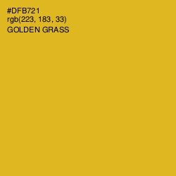 #DFB721 - Golden Grass Color Image