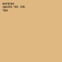 #DFB780 - Tan Color Image