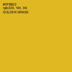 #DFB822 - Golden Grass Color Image