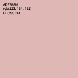 #DFB8B6 - Blossom Color Image