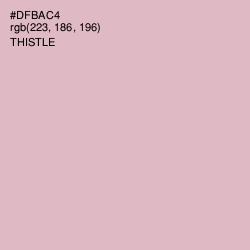 #DFBAC4 - Thistle Color Image