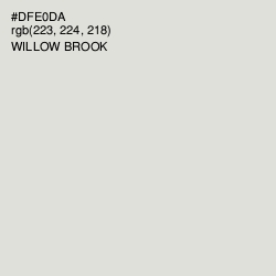 #DFE0DA - Willow Brook Color Image