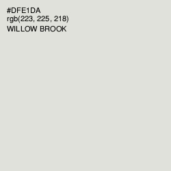 #DFE1DA - Willow Brook Color Image