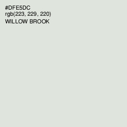 #DFE5DC - Willow Brook Color Image