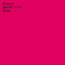 #E00161 - Rose Color Image