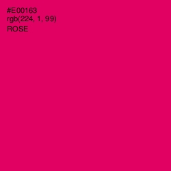 #E00163 - Rose Color Image