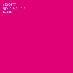 #E00177 - Rose Color Image