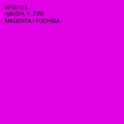 #E001E5 - Magenta / Fuchsia Color Image