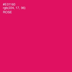 #E01160 - Rose Color Image