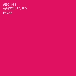 #E01161 - Rose Color Image