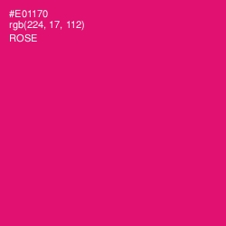 #E01170 - Rose Color Image