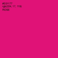 #E01177 - Rose Color Image