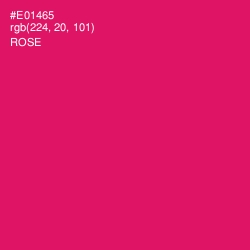 #E01465 - Rose Color Image