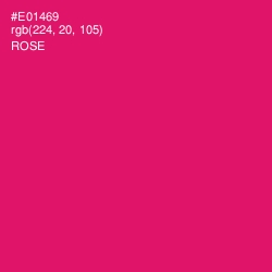 #E01469 - Rose Color Image