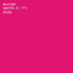 #E0156F - Rose Color Image