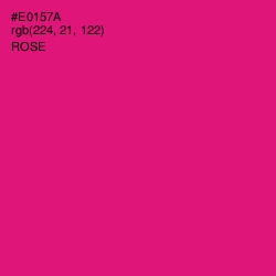#E0157A - Rose Color Image