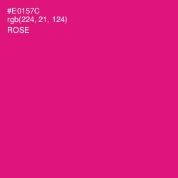 #E0157C - Rose Color Image
