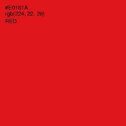 #E0161A - Red Color Image